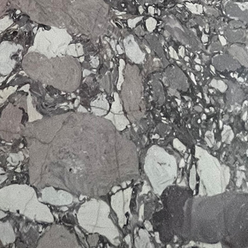 Expertise STUC France